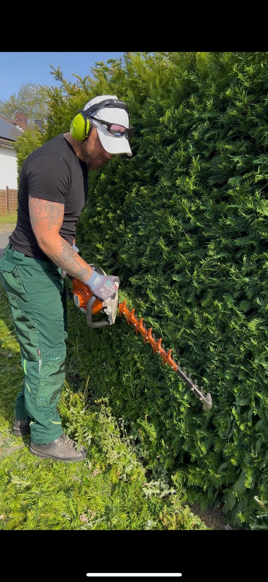 Formschnitt einer Hecke im Privatgarten